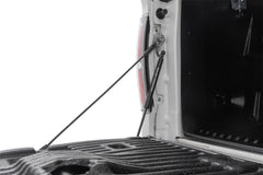 Rough Country Tailgate Assist - 73214